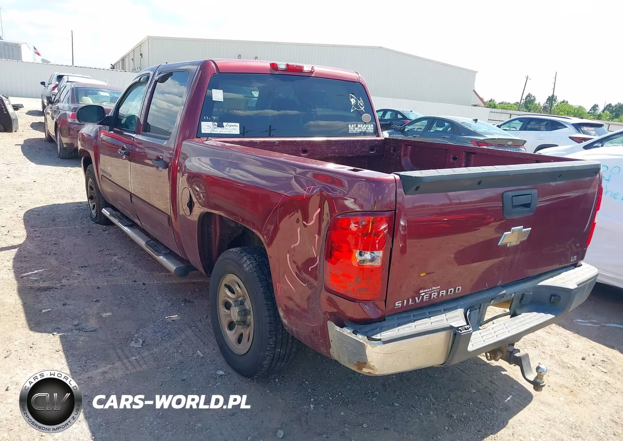 2009 Chevrolet Silverado 1500 Ls VIN:3GCEC13C19G179859 - 3