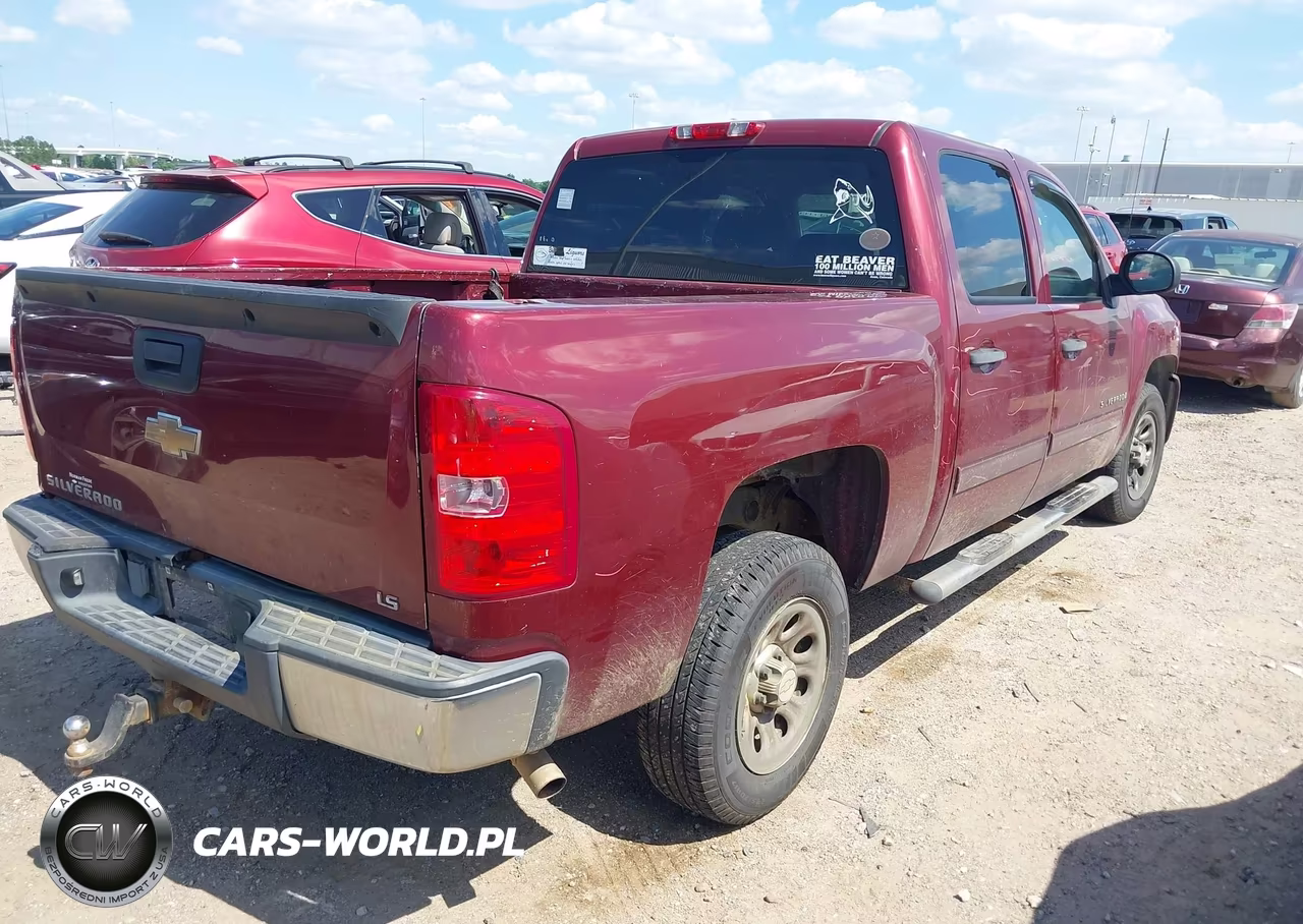 2009 Chevrolet Silverado 1500 Ls VIN:3GCEC13C19G179859 - 4