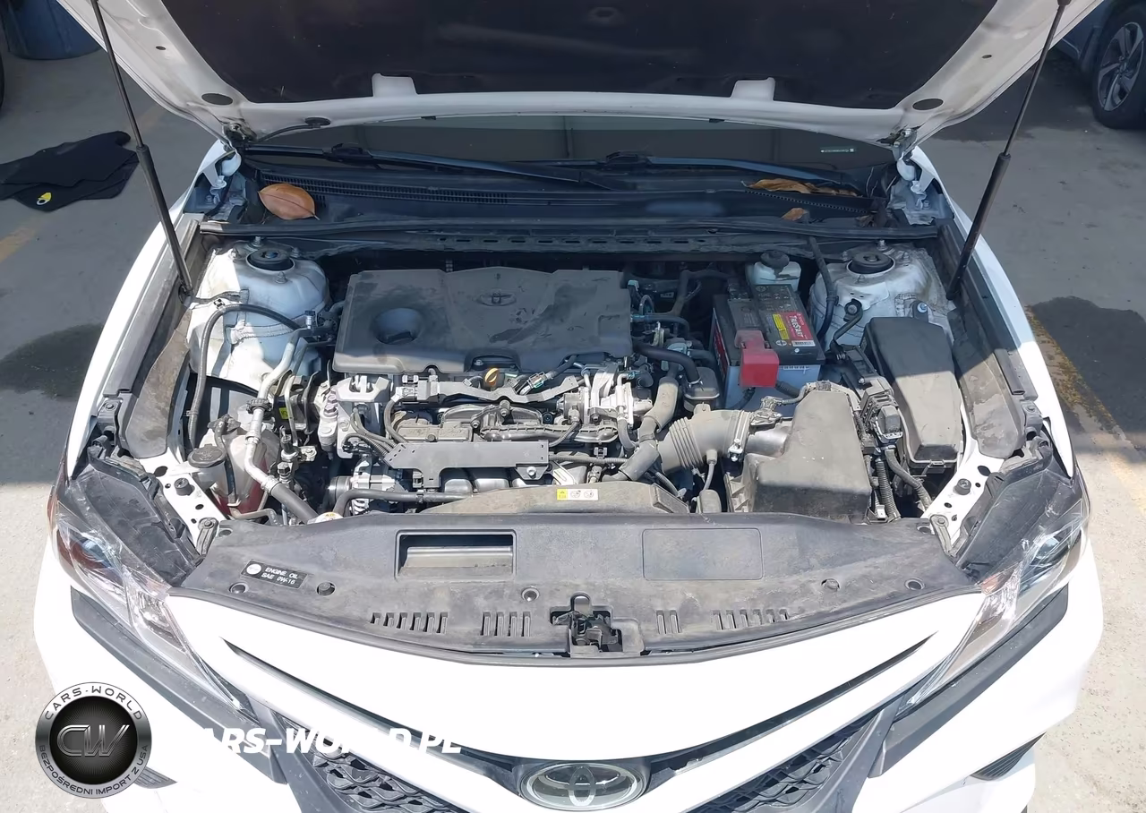 2019 Toyota Camry Se VIN:4T1B11HK8KU168154 - 10