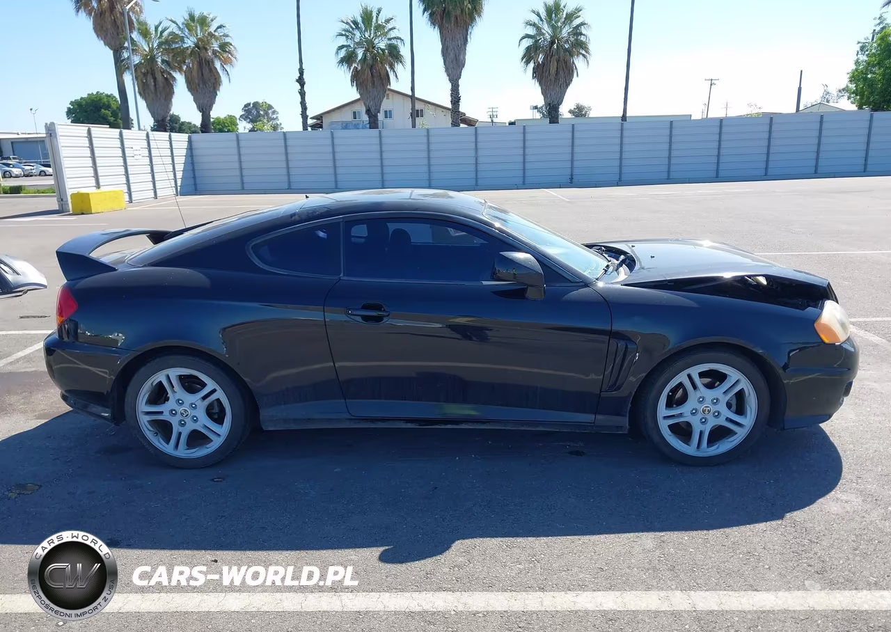2004 Hyundai Tiburon Gt V6-Gt V6 Special Edition VIN:KMHHN65F34U128649 - 13
