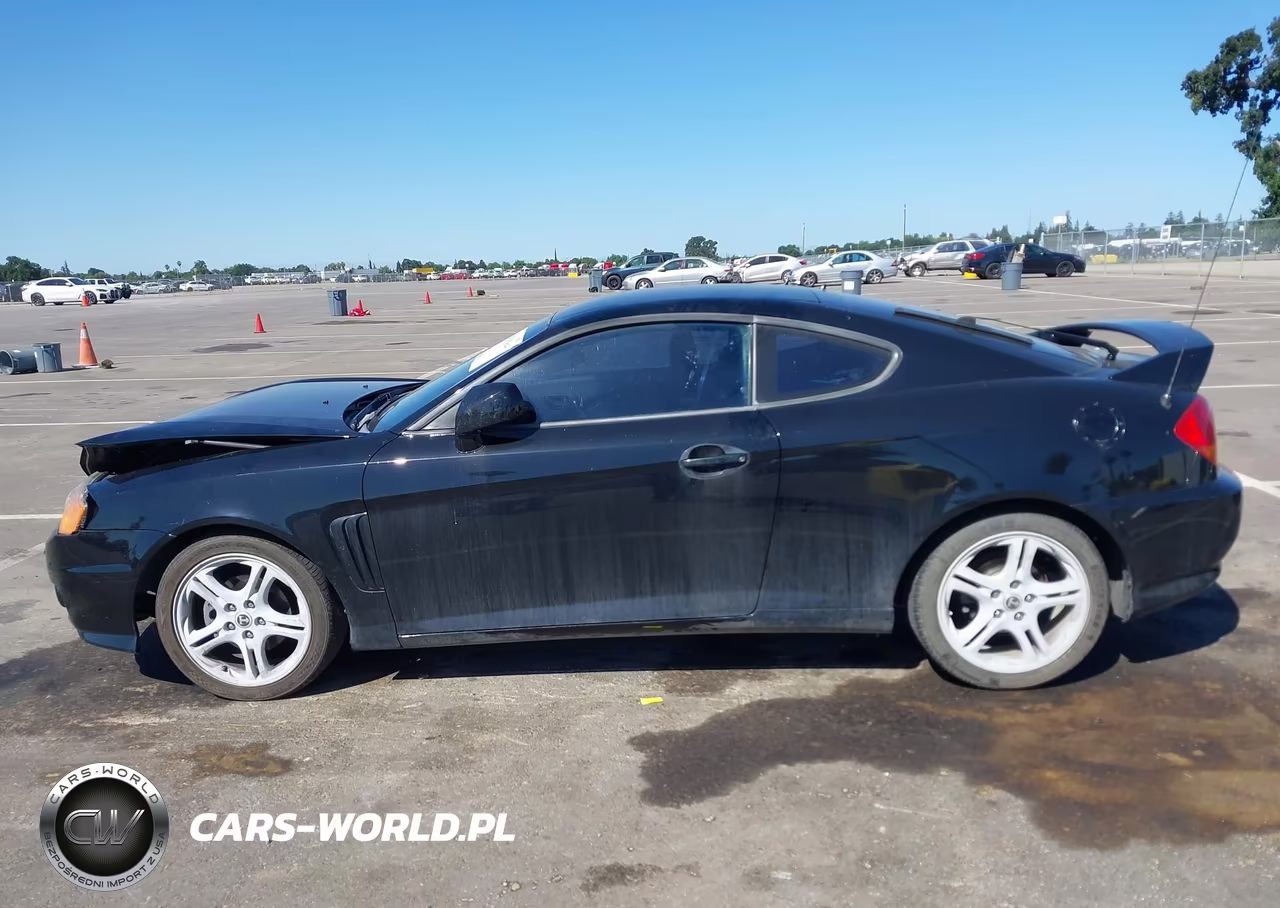 2004 Hyundai Tiburon Gt V6-Gt V6 Special Edition VIN:KMHHN65F34U128649 - 14