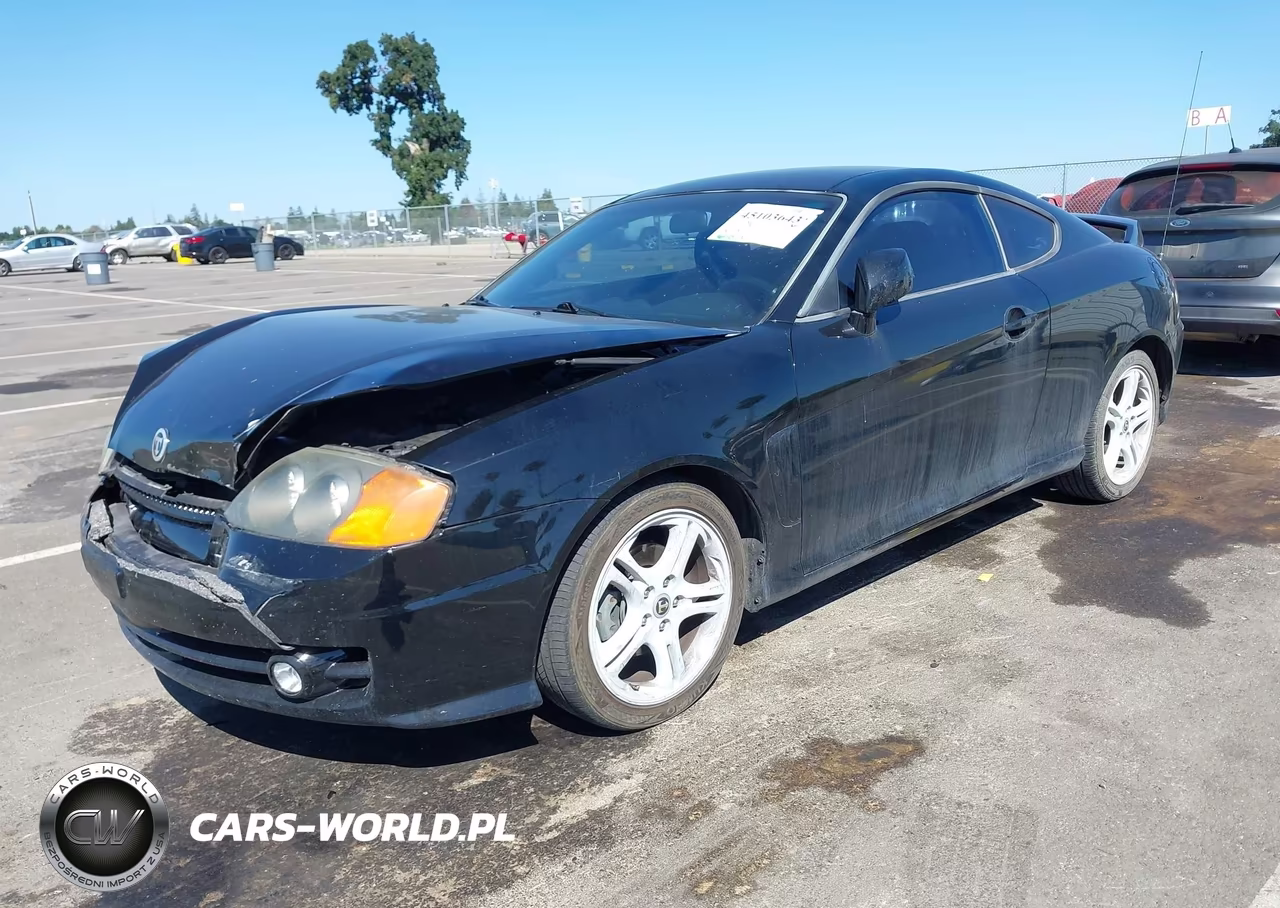2004 Hyundai Tiburon Gt V6-Gt V6 Special Edition VIN:KMHHN65F34U128649 - 2