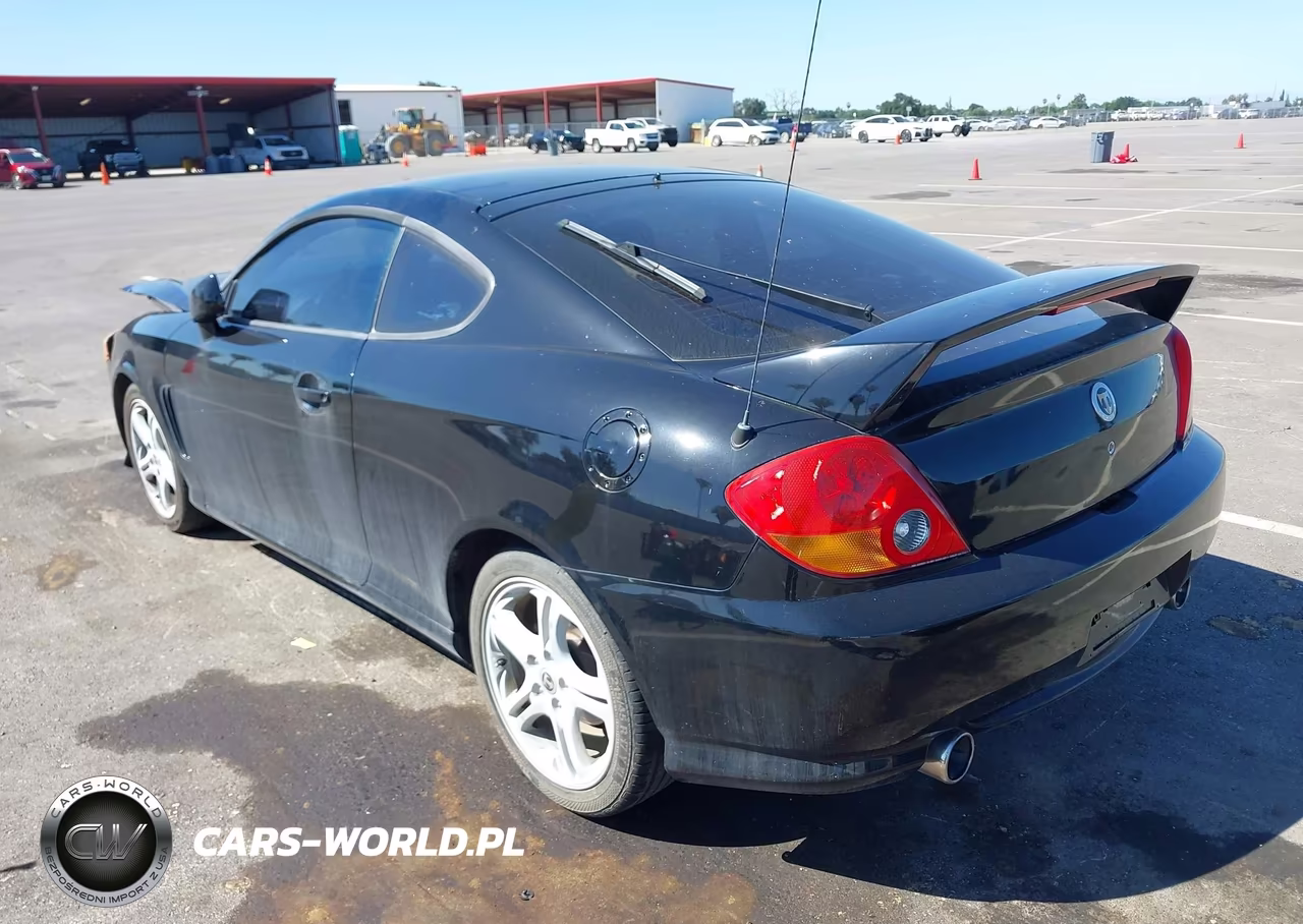 2004 Hyundai Tiburon Gt V6-Gt V6 Special Edition VIN:KMHHN65F34U128649 - 3