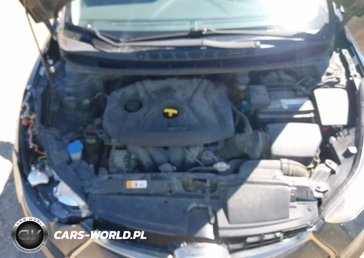 2014 Hyundai Elantra VIN:KMHDH6AH5EU028292 - 10