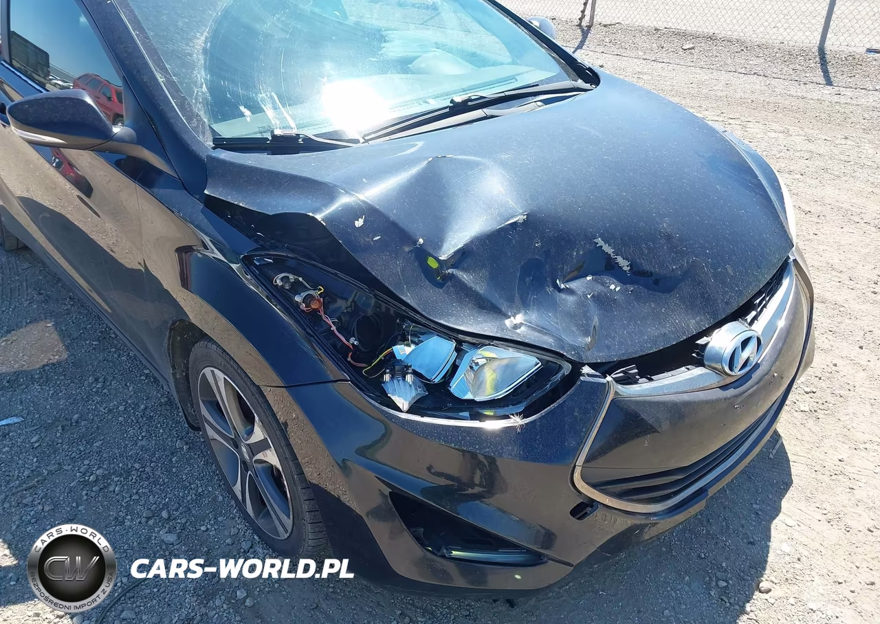 2014 Hyundai Elantra VIN:KMHDH6AH5EU028292 - 6