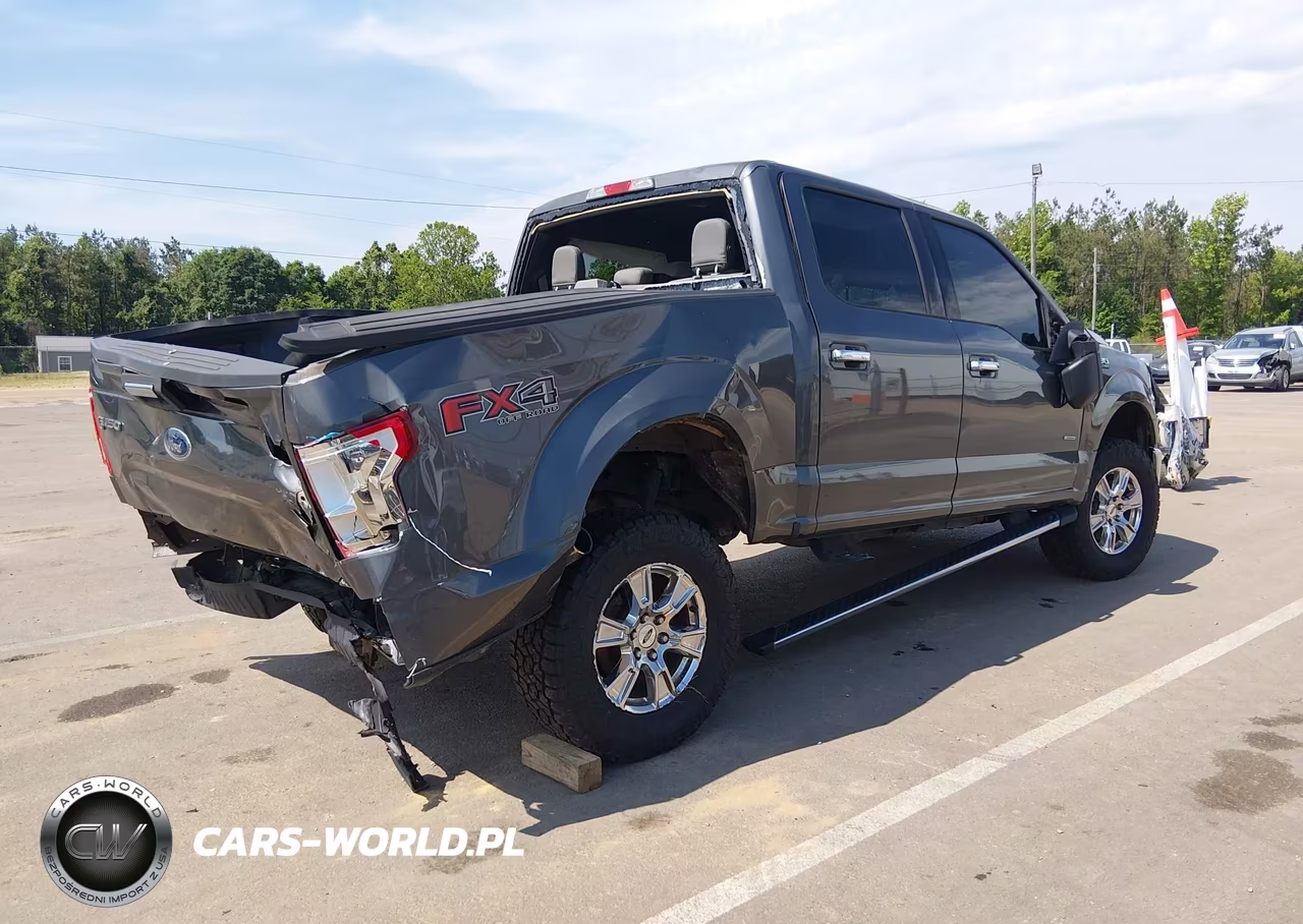 2015 Ford F-150 Xlt VIN:1FTEW1EP8FKD64342 - 4