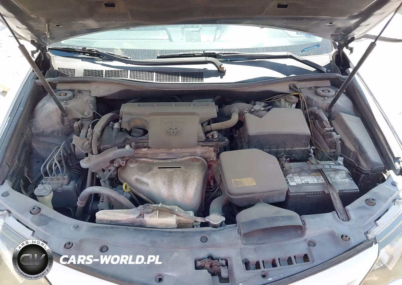 2014 Toyota Camry Se VIN:4T1BF1FK3EU315103 - 10