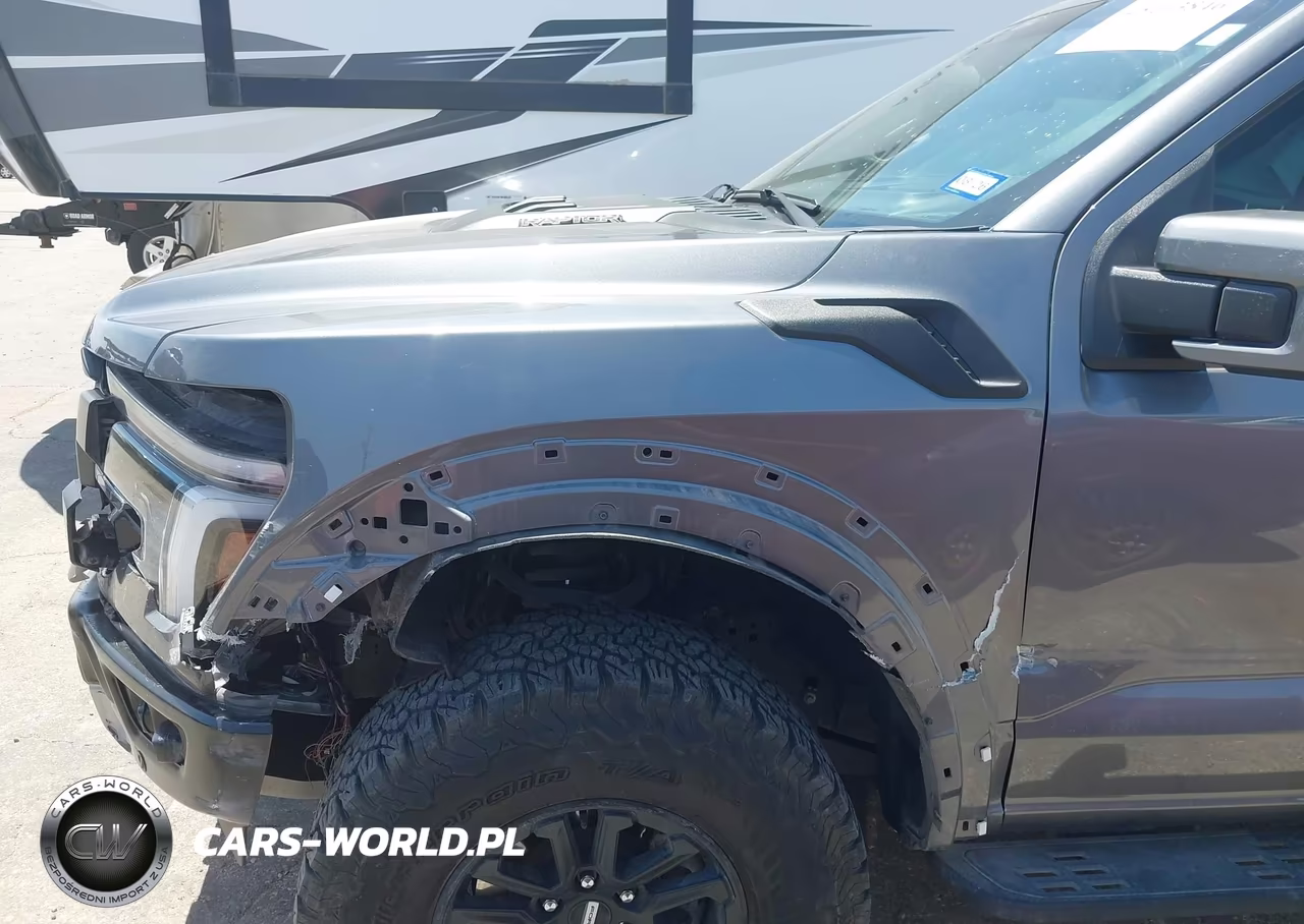 2024 Ford F-150 Raptor VIN:1FTFW1RG5RFA16980 - 6