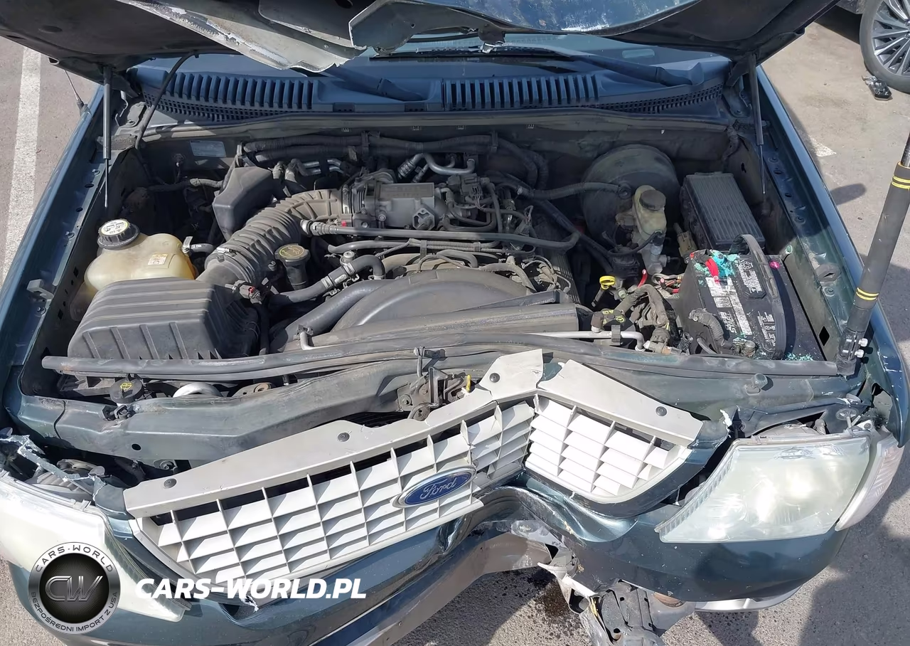 2004 Ford Explorer Eddie Bauer VIN:1FMZU74W54UB16887 - 10