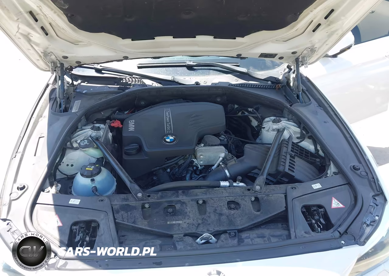 2014 BMW 528I VIN:WBA5A5C56ED505559 - 10