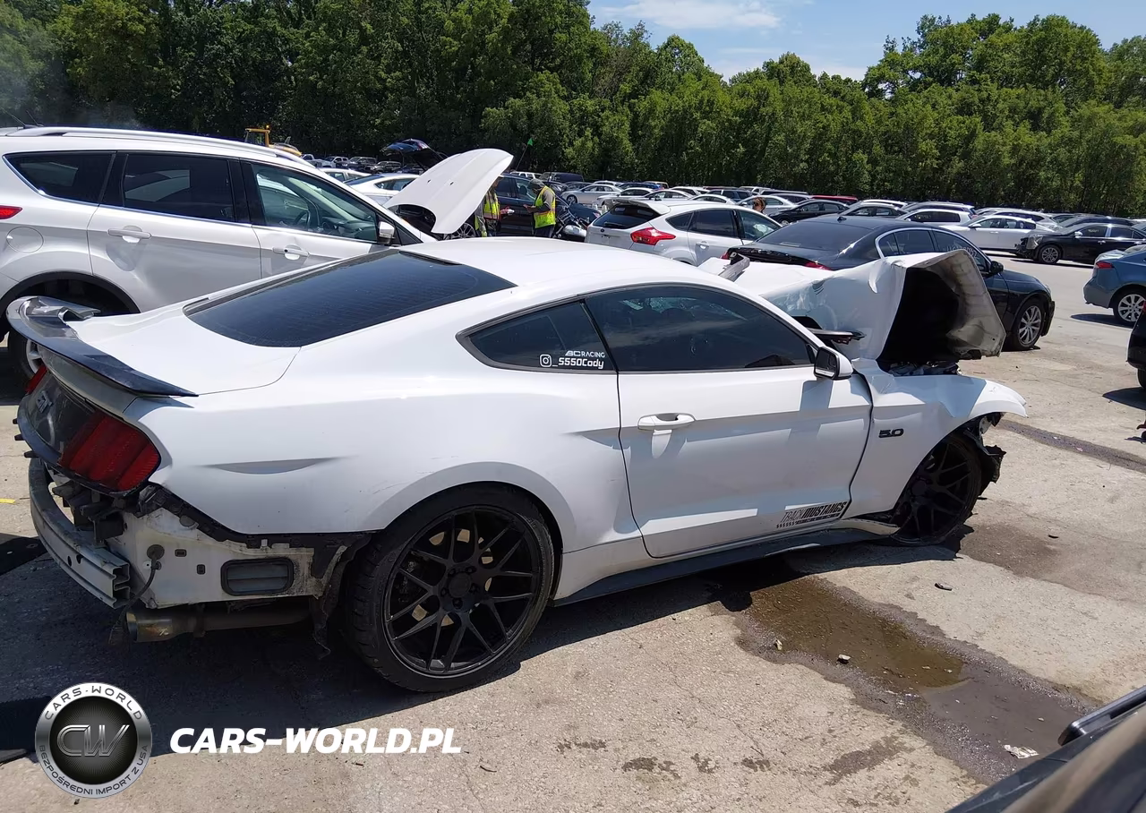 2015 Ford Mustang Gt VIN:1FA6P8CF3F5399959 - 13