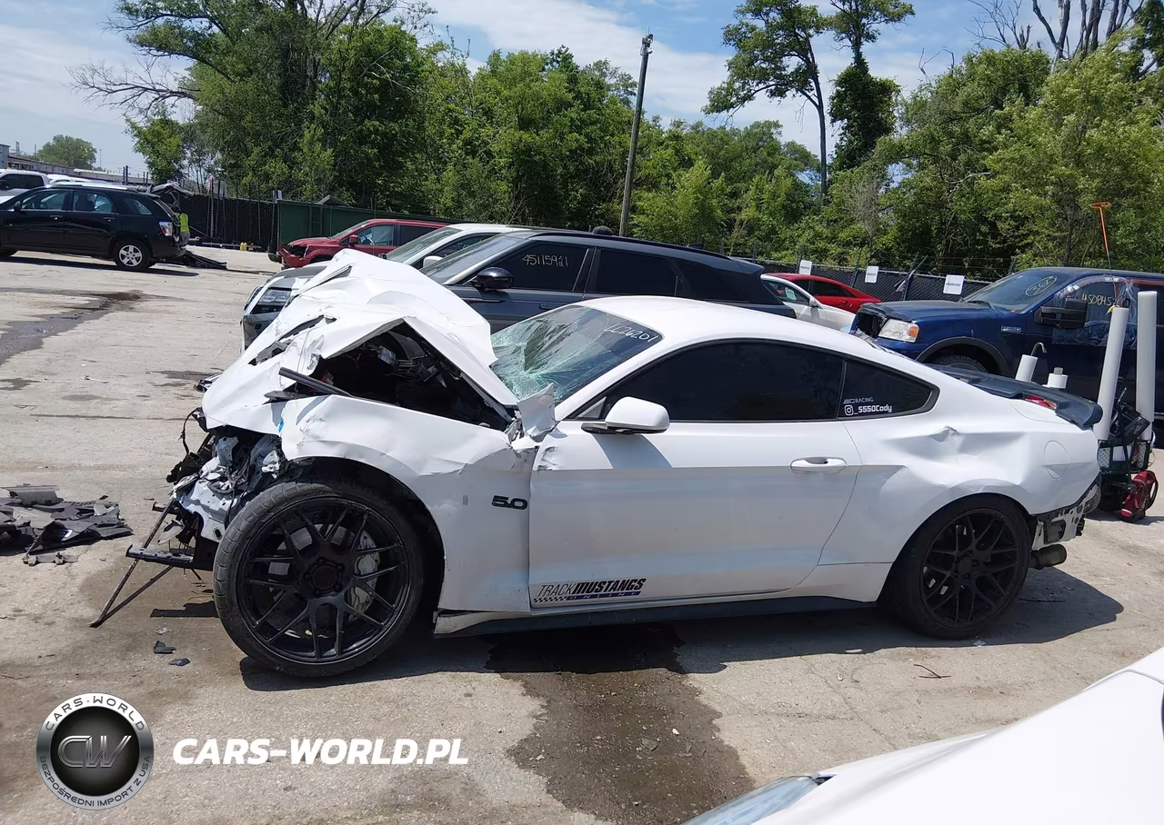 2015 Ford Mustang Gt VIN:1FA6P8CF3F5399959 - 14