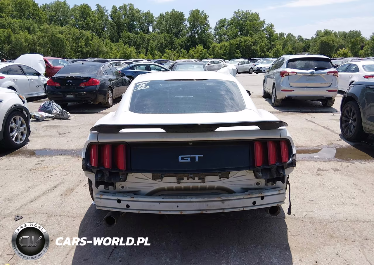 2015 Ford Mustang Gt VIN:1FA6P8CF3F5399959 - 16
