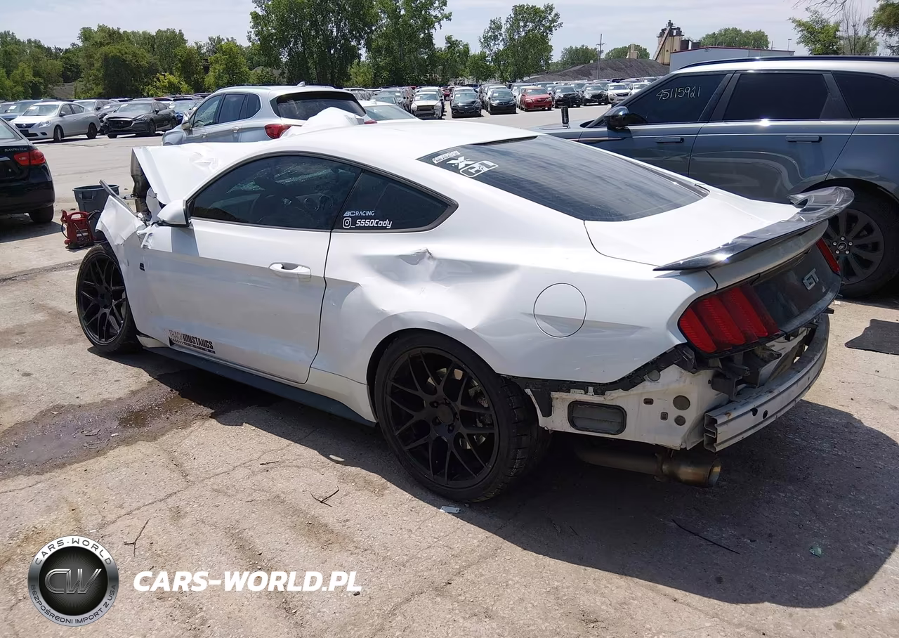 2015 Ford Mustang Gt VIN:1FA6P8CF3F5399959 - 3