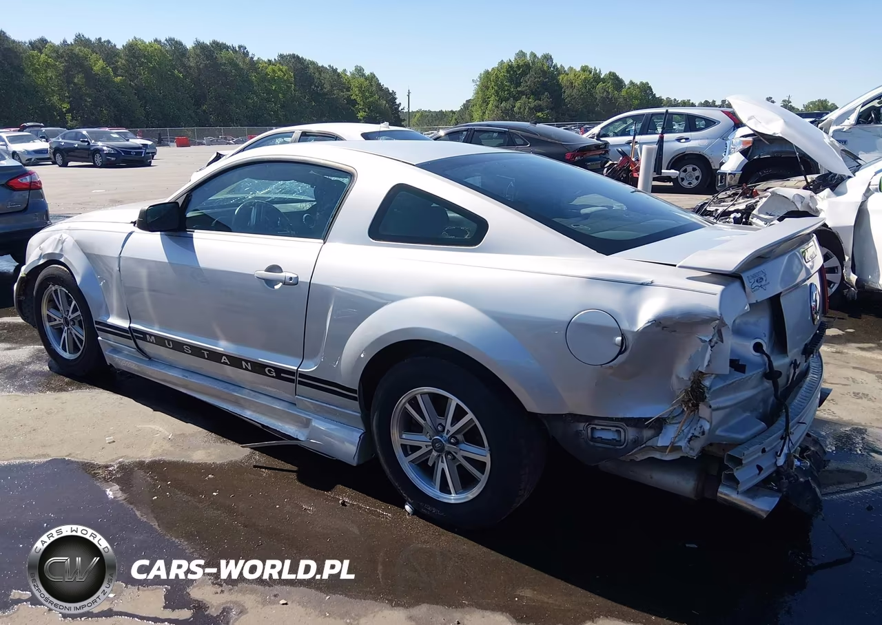 2005 Ford Mustang V6 Deluxe-V6 Premium VIN:1ZVFT80NX55145971 - 3