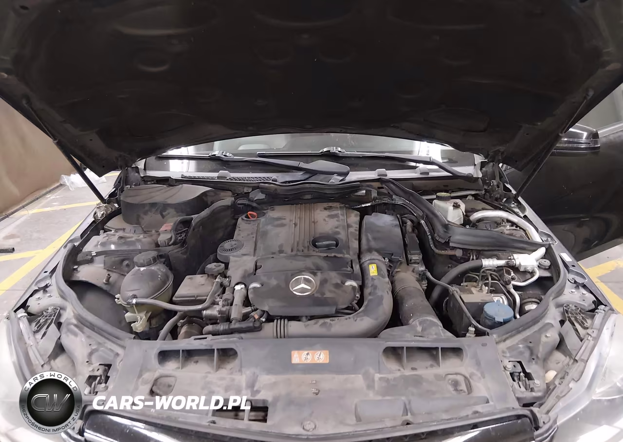 2012 Mercedes-Benz C 250 VIN:WDDGJ4HB6CF911675 - 10