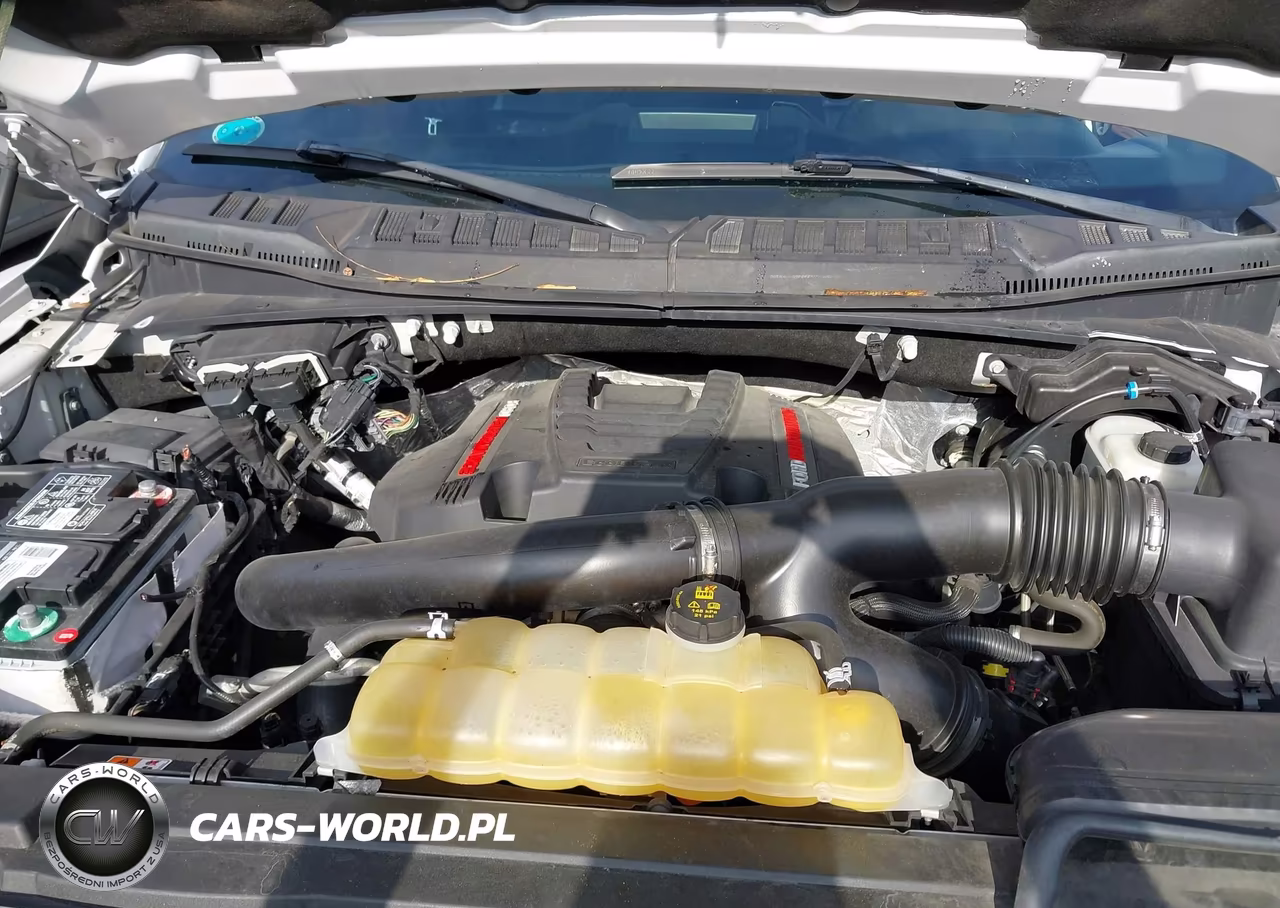 2019 Ford F-150 Raptor VIN:1FTFW1RGXKFA13918 - 10