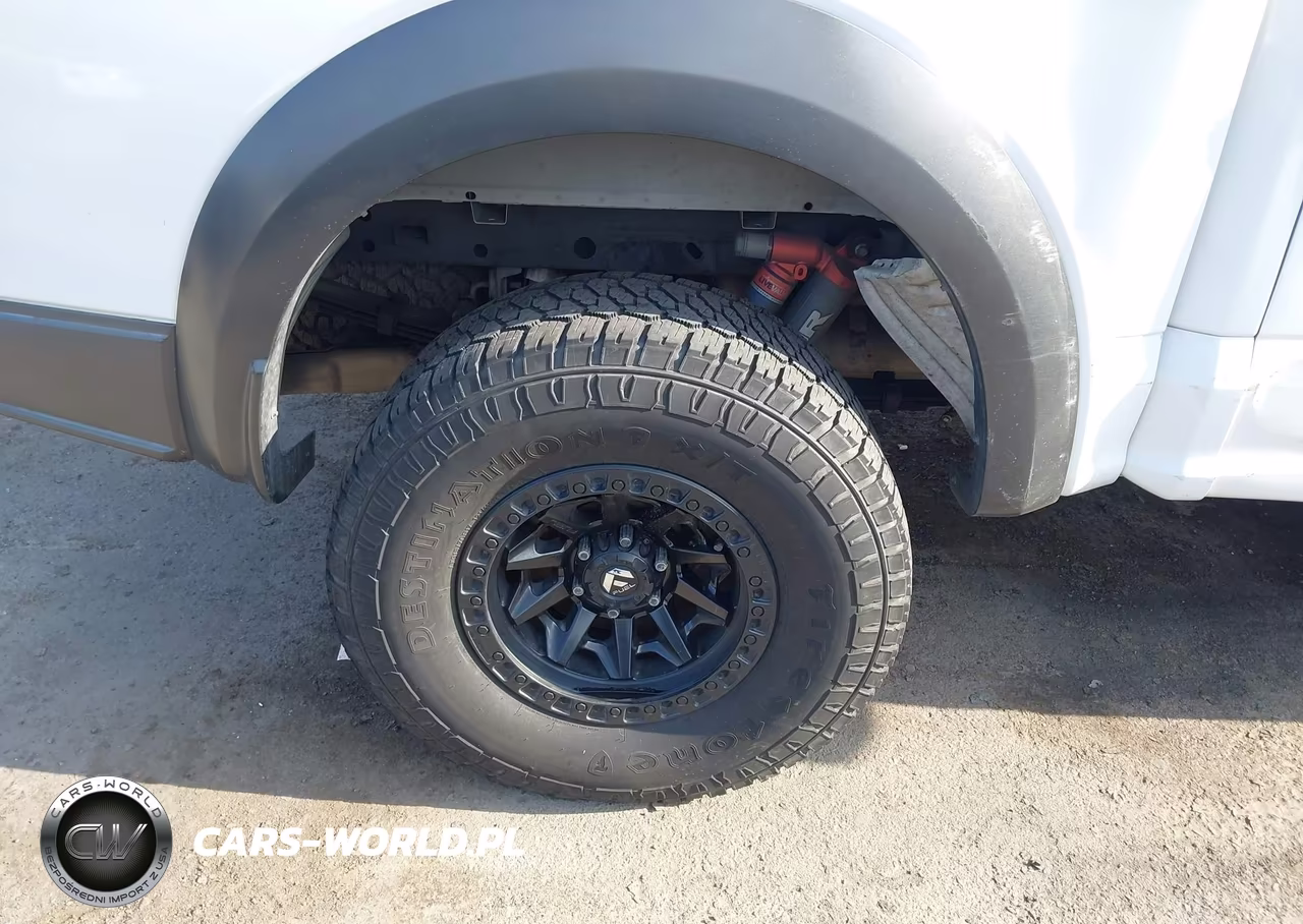 2019 Ford F-150 Raptor VIN:1FTFW1RGXKFA13918 - 12