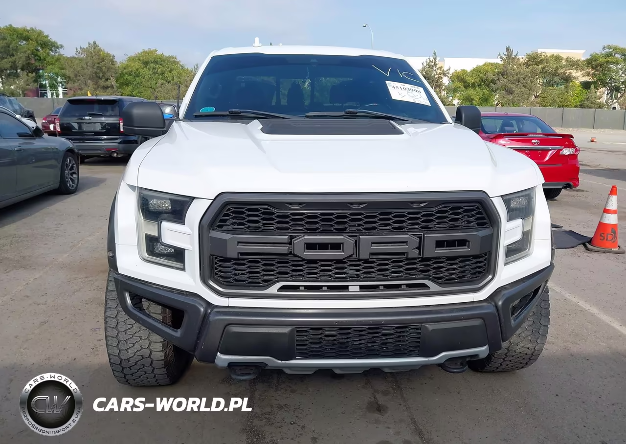 2019 Ford F-150 Raptor VIN:1FTFW1RGXKFA13918 - 13
