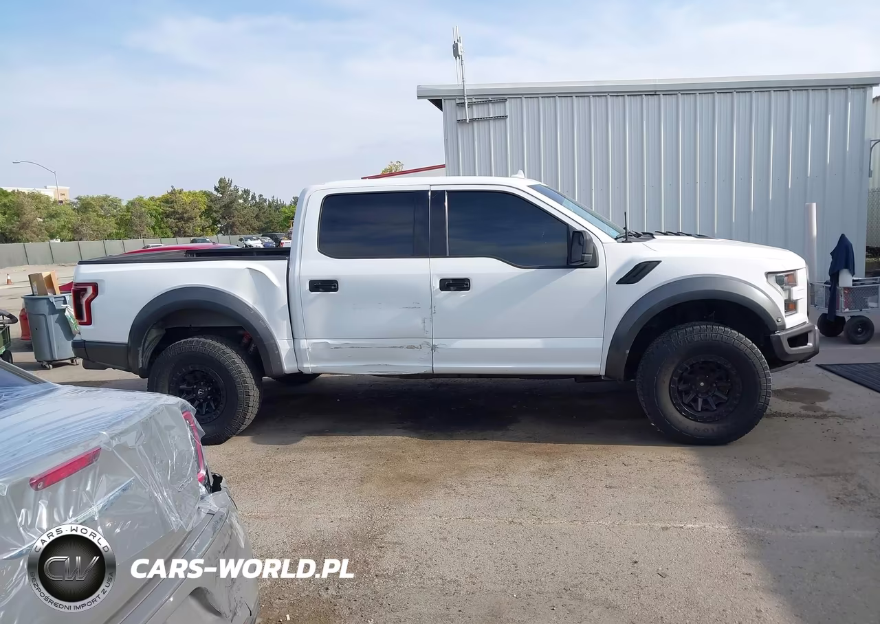 2019 Ford F-150 Raptor VIN:1FTFW1RGXKFA13918 - 14