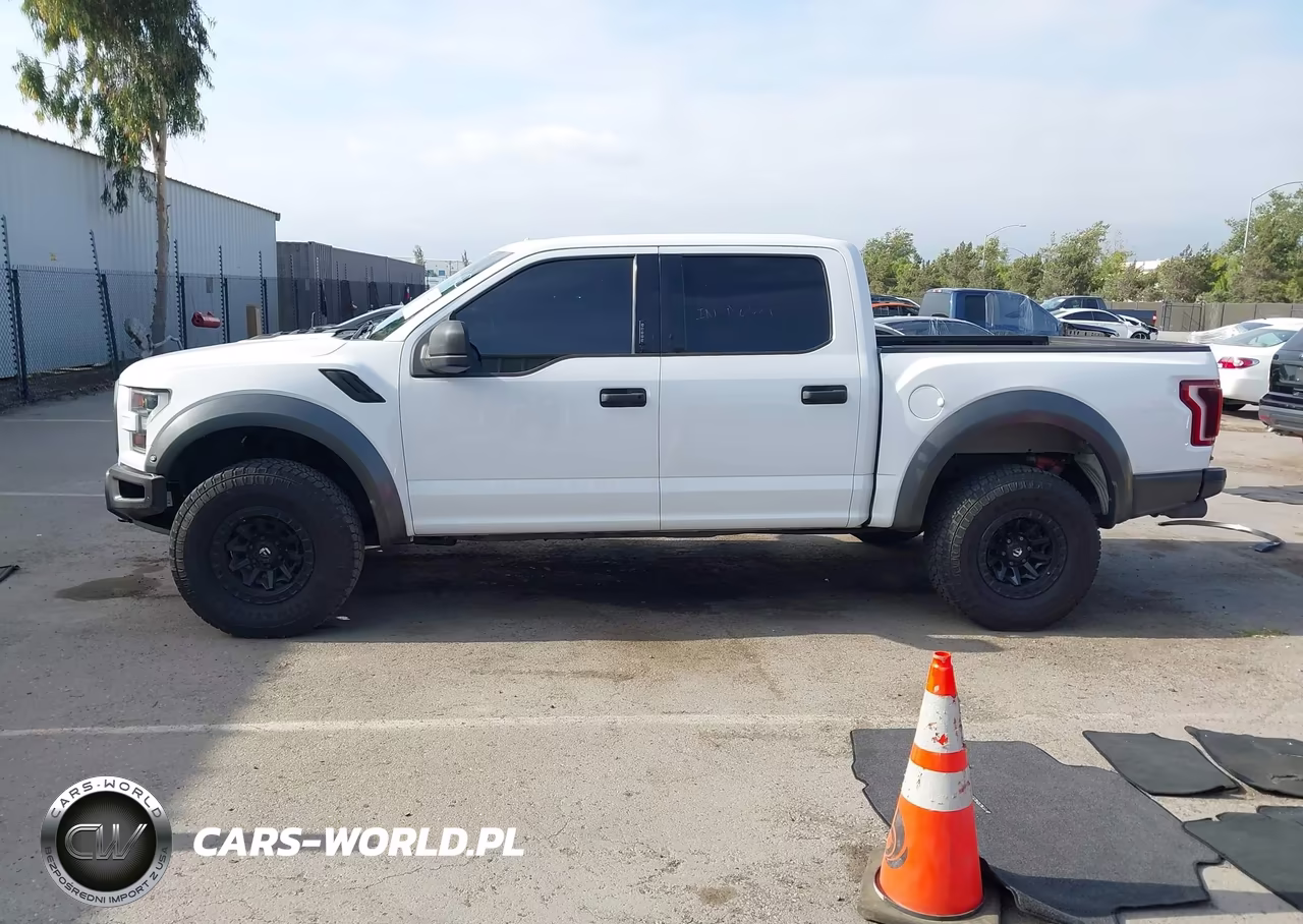 2019 Ford F-150 Raptor VIN:1FTFW1RGXKFA13918 - 15