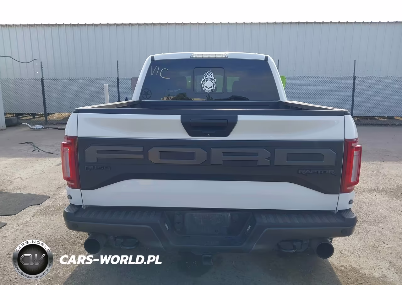 2019 Ford F-150 Raptor VIN:1FTFW1RGXKFA13918 - 17