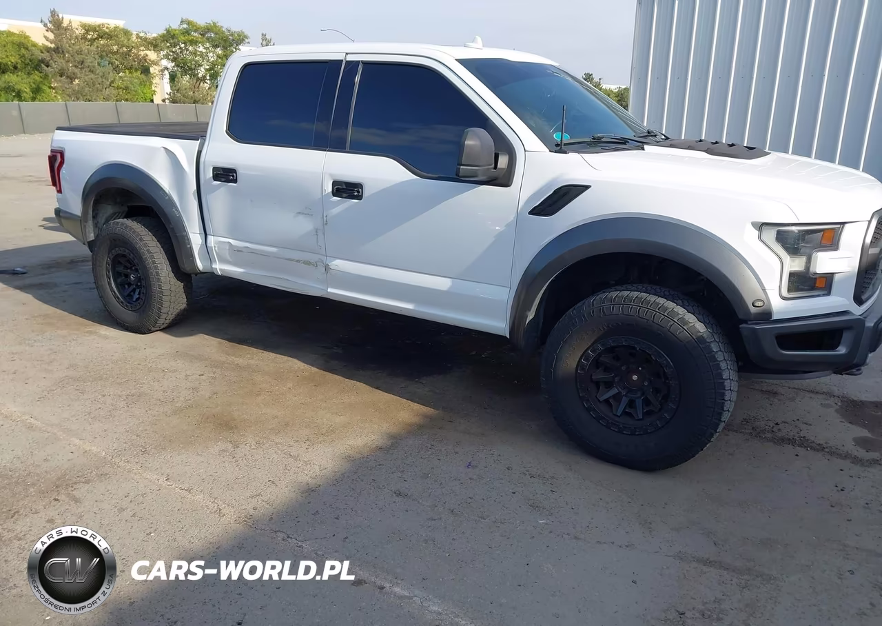 2019 Ford F-150 Raptor VIN:1FTFW1RGXKFA13918 - 18