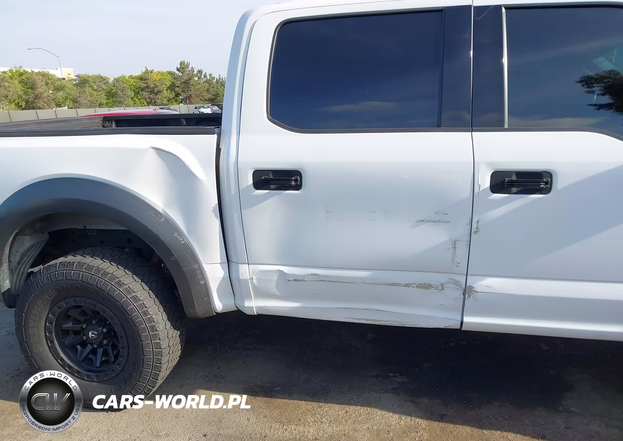 2019 Ford F-150 Raptor VIN:1FTFW1RGXKFA13918 - 19