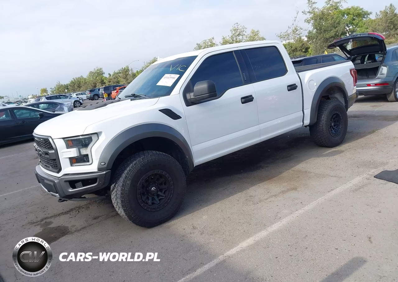 2019 Ford F-150 Raptor VIN:1FTFW1RGXKFA13918 - 2