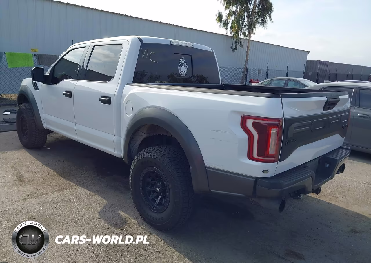 2019 Ford F-150 Raptor VIN:1FTFW1RGXKFA13918 - 3