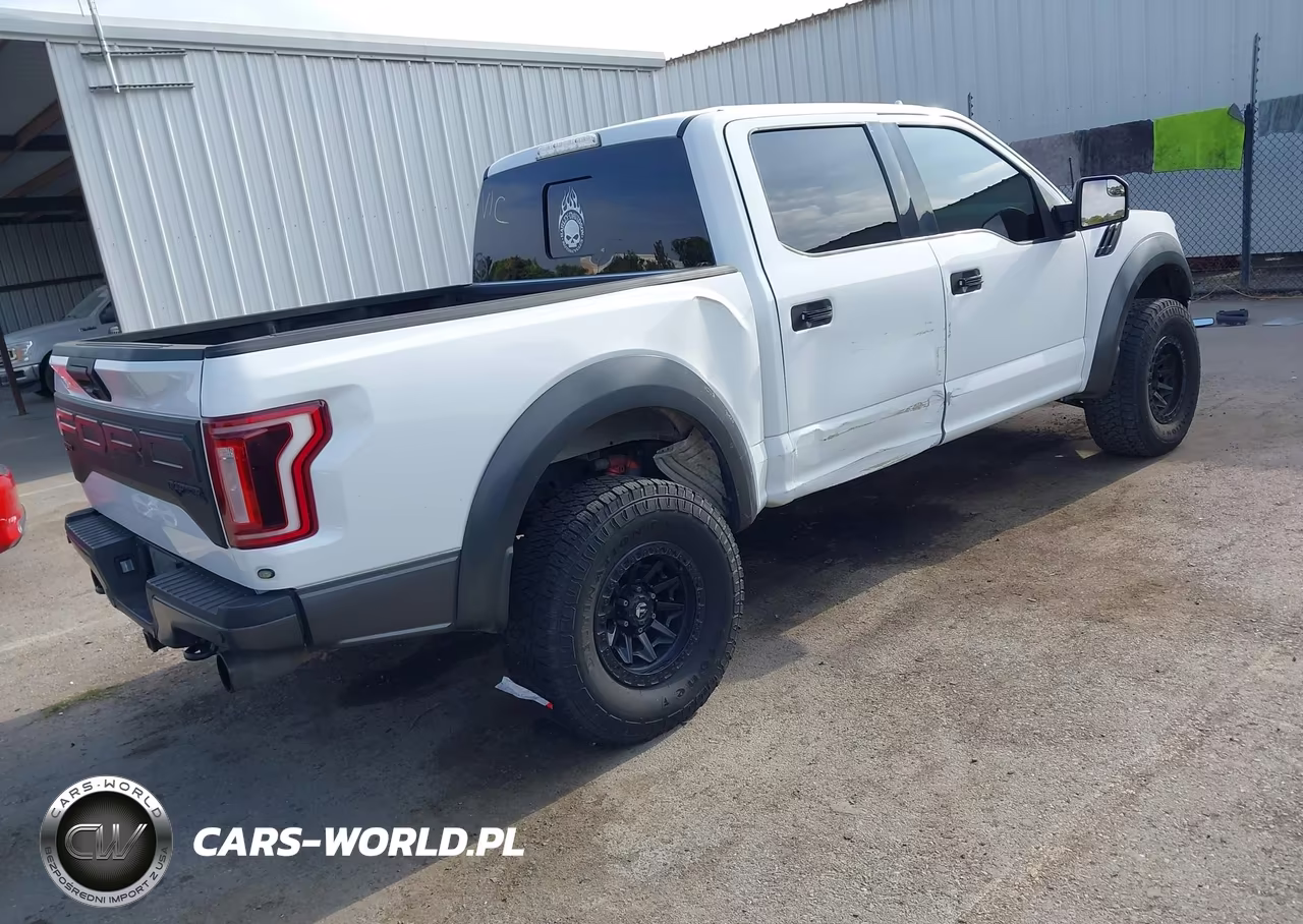 2019 Ford F-150 Raptor VIN:1FTFW1RGXKFA13918 - 4