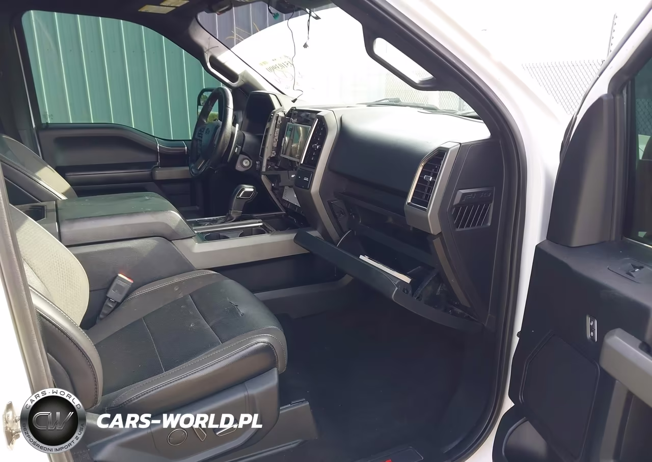 2019 Ford F-150 Raptor VIN:1FTFW1RGXKFA13918 - 5