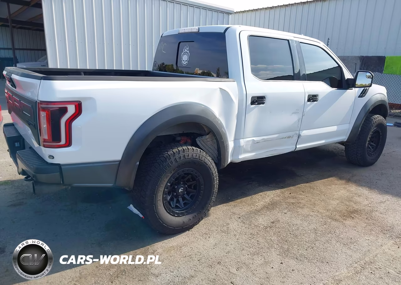 2019 Ford F-150 Raptor VIN:1FTFW1RGXKFA13918 - 6