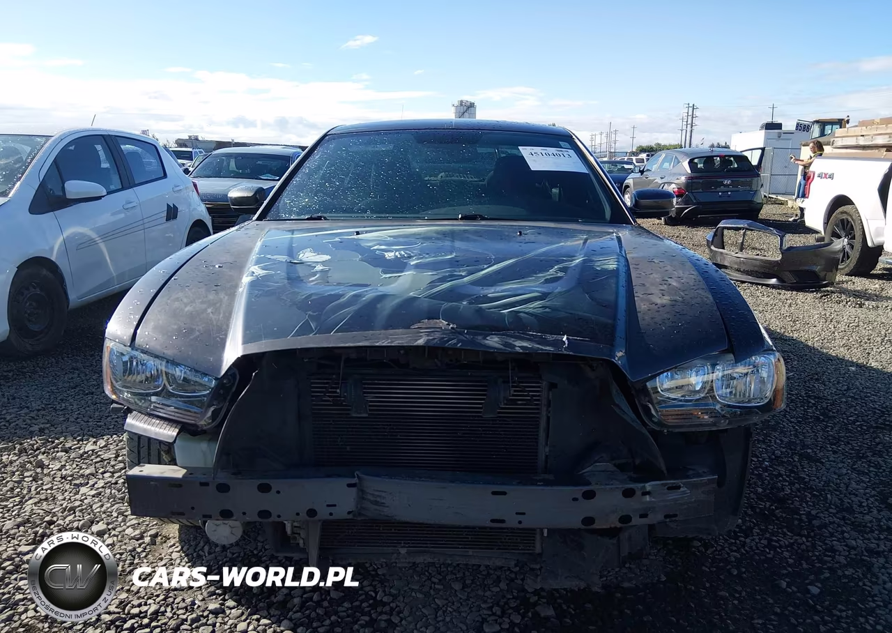 DODGE CHARGER VIN:2C3CDXBG2DH616907 - 13