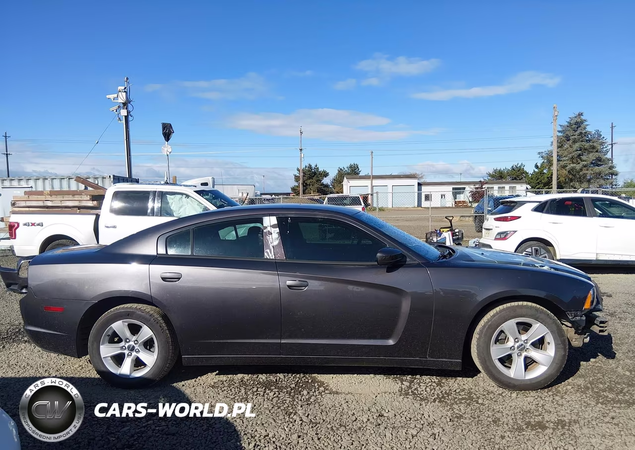 DODGE CHARGER VIN:2C3CDXBG2DH616907 - 14