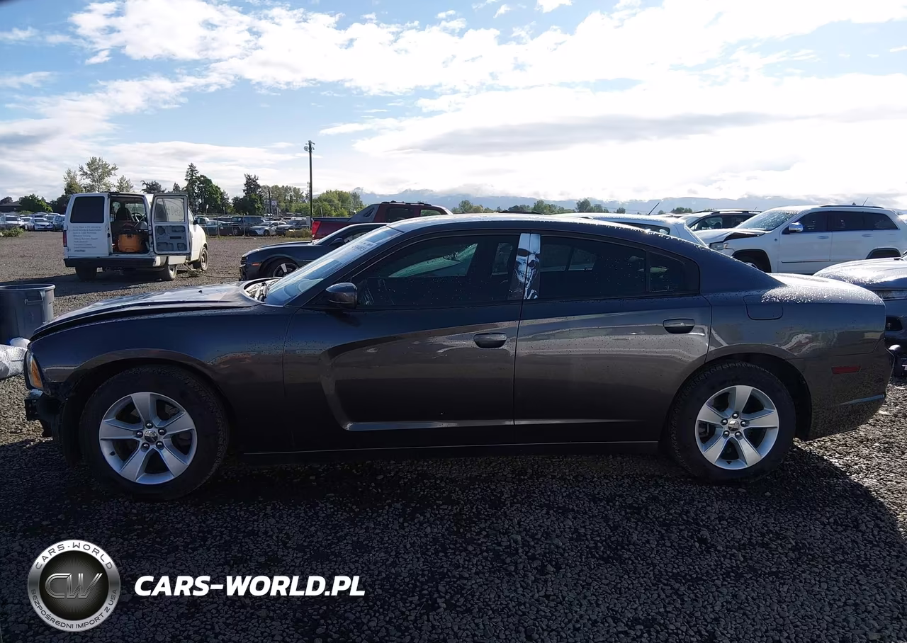 DODGE CHARGER VIN:2C3CDXBG2DH616907 - 15