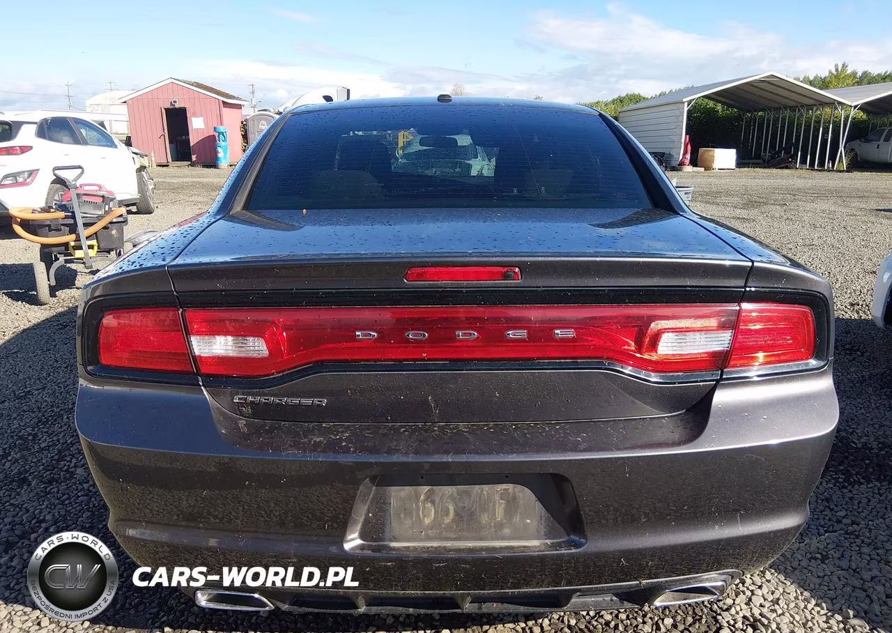 DODGE CHARGER VIN:2C3CDXBG2DH616907 - 17
