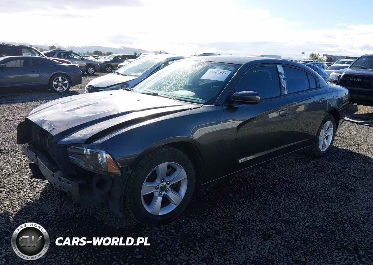 DODGE CHARGER VIN:2C3CDXBG2DH616907 - 2