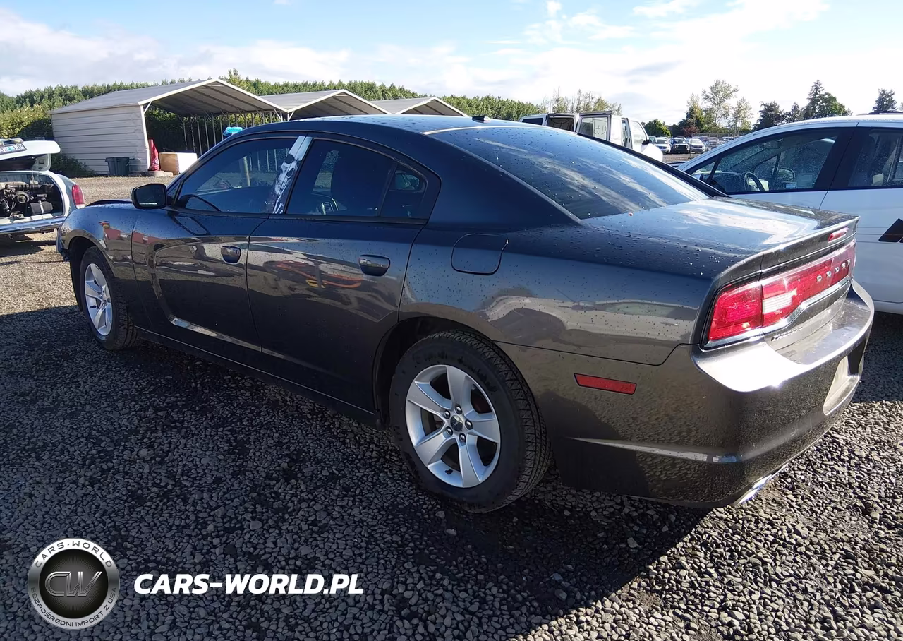 DODGE CHARGER VIN:2C3CDXBG2DH616907 - 3