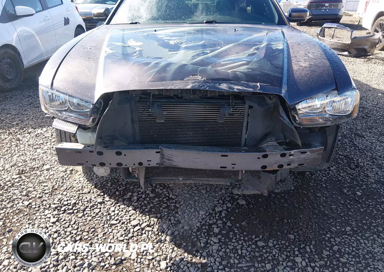 DODGE CHARGER VIN:2C3CDXBG2DH616907 - 6