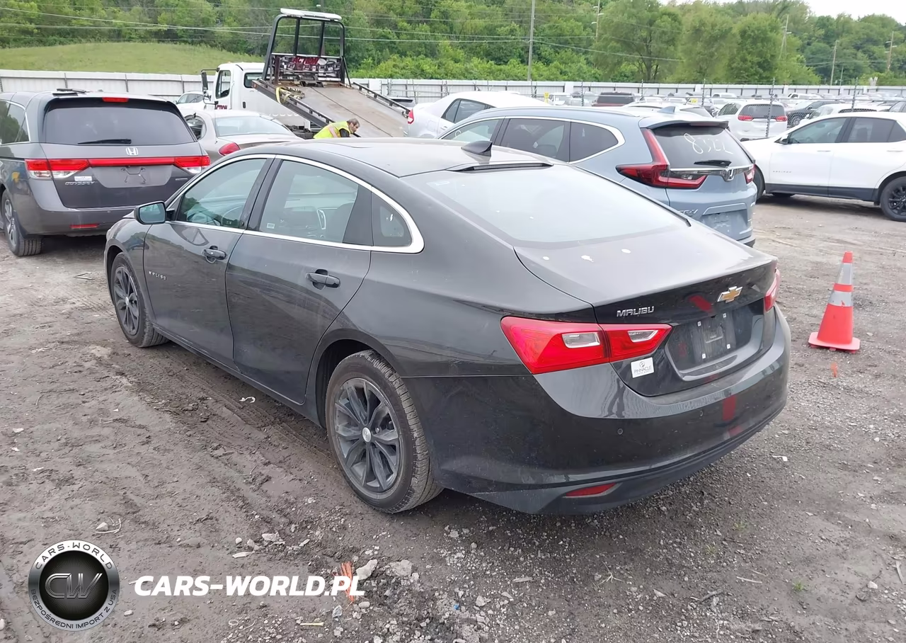 2024 Chevrolet Malibu Fwd 1Lt VIN:1G1ZD5ST4RF143567 - 3