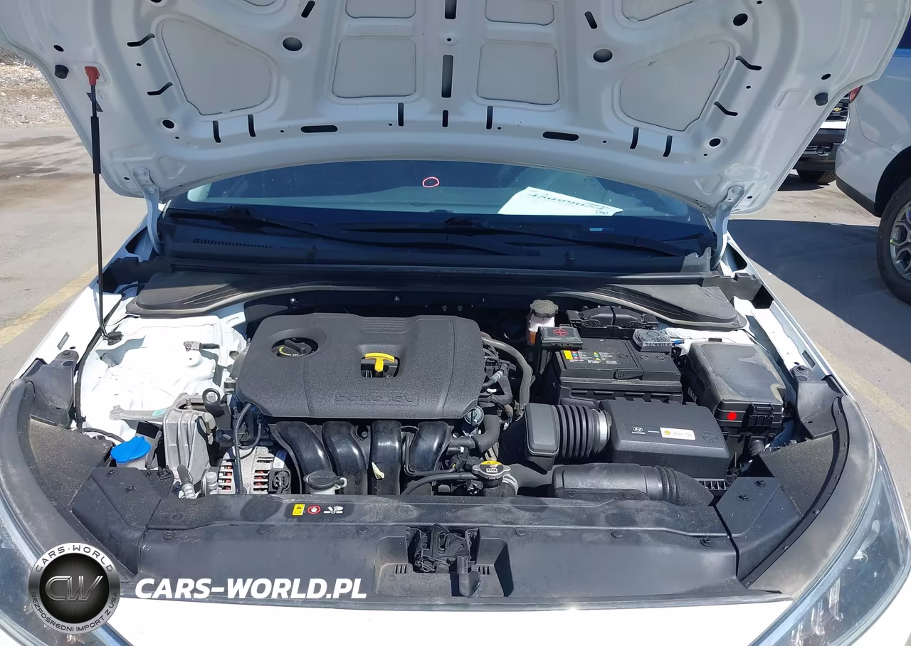2019 Hyundai Elantra Se VIN:5NPD74LF0KH482916 - 10