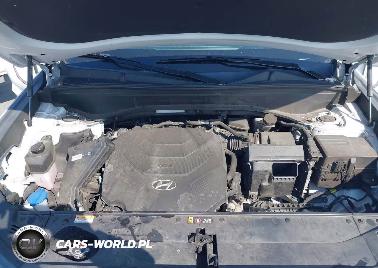 2021 Hyundai Palisade Sel VIN:KM8R24HE1MU334279 - 10