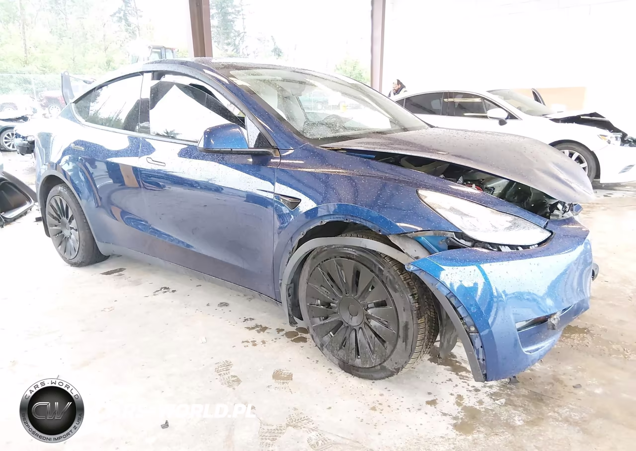 2020 Tesla Model Y Long Range Dual Motor All-Wheel Drive-Performance Dual Motor All-Wheel Drive