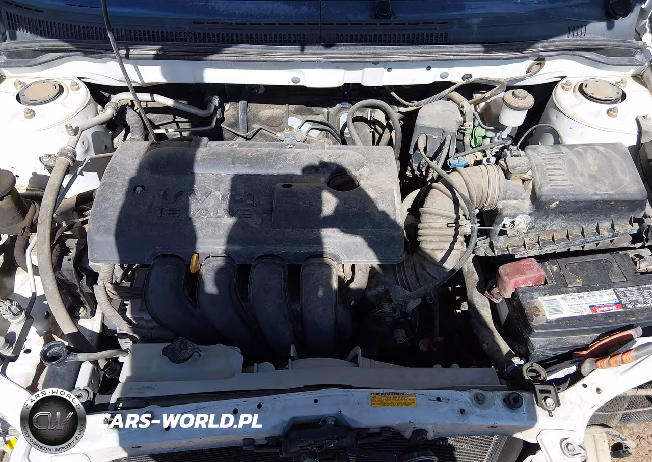 2003 Toyota Corolla Ce VIN:JTDBR32E532016356 - 10