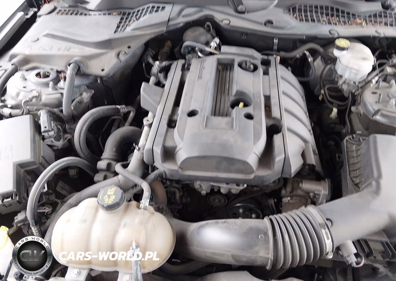 2019 Ford Mustang Ecoboost Premium VIN:1FA6P8TH0K5169095 - 10