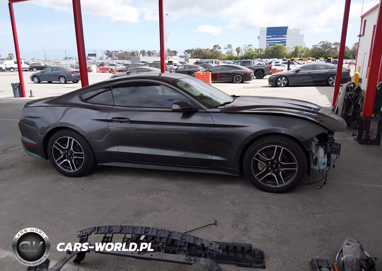 2019 Ford Mustang Ecoboost Premium VIN:1FA6P8TH0K5169095 - 14
