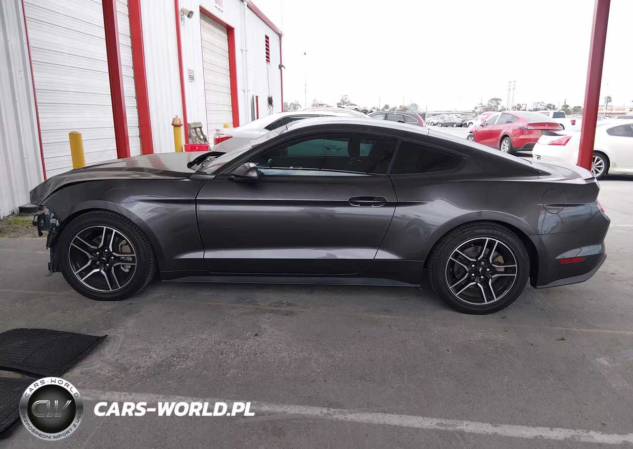 2019 Ford Mustang Ecoboost Premium VIN:1FA6P8TH0K5169095 - 15