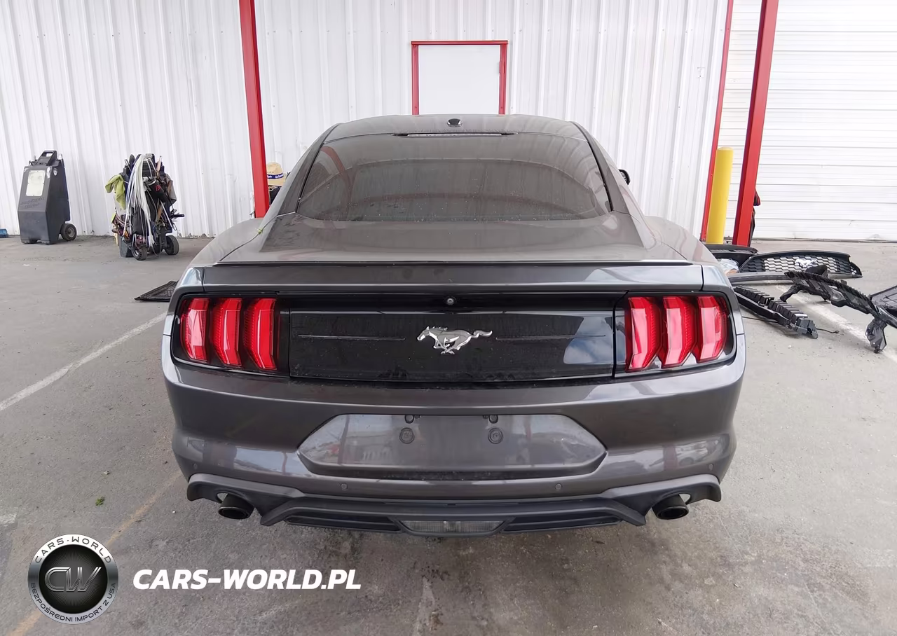 2019 Ford Mustang Ecoboost Premium VIN:1FA6P8TH0K5169095 - 17