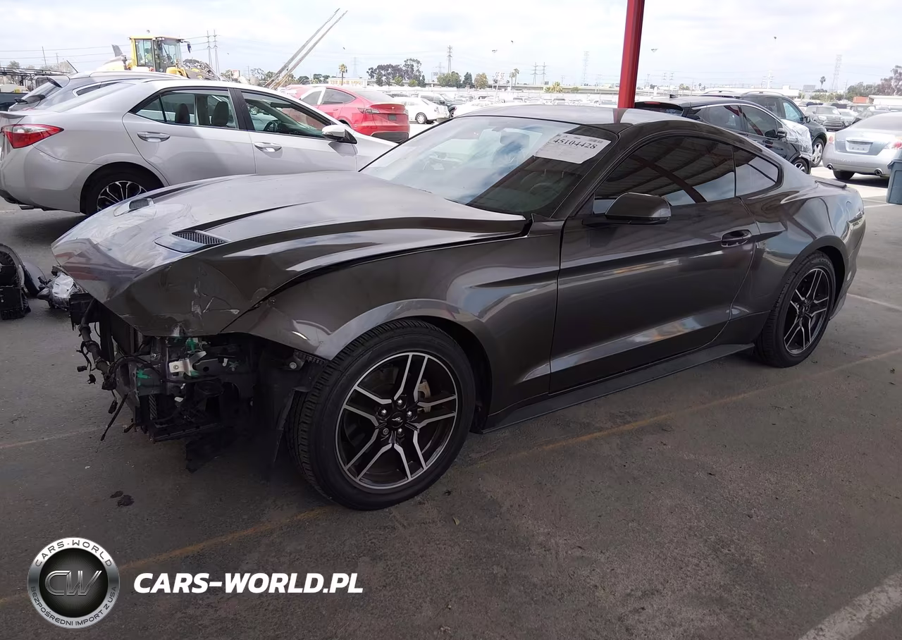 2019 Ford Mustang Ecoboost Premium VIN:1FA6P8TH0K5169095 - 2